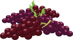 Food Bunch Of Grapes